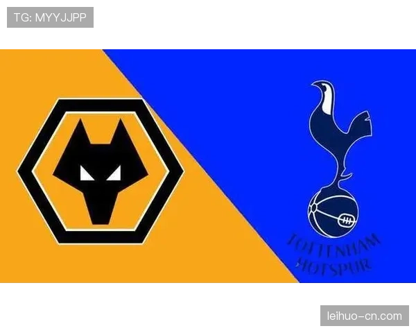 保级区攻防数据解析 狼队热刺伯恩利失球数均超50球